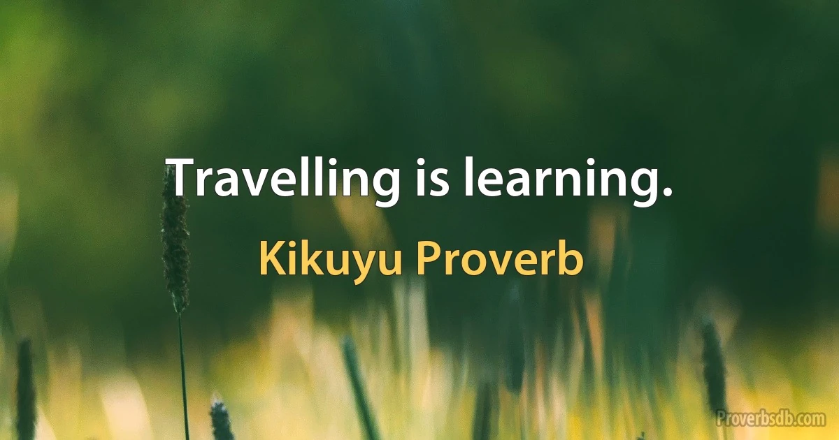 Travelling is learning. (Kikuyu Proverb)