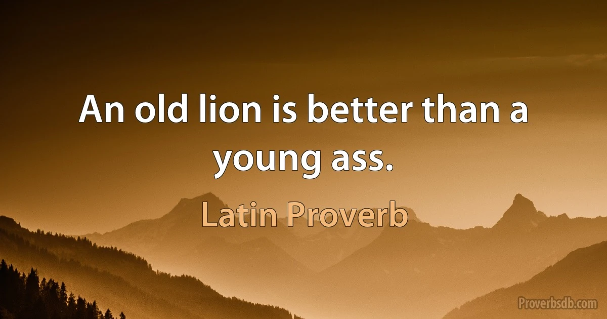 An old lion is better than a young ass. (Latin Proverb)