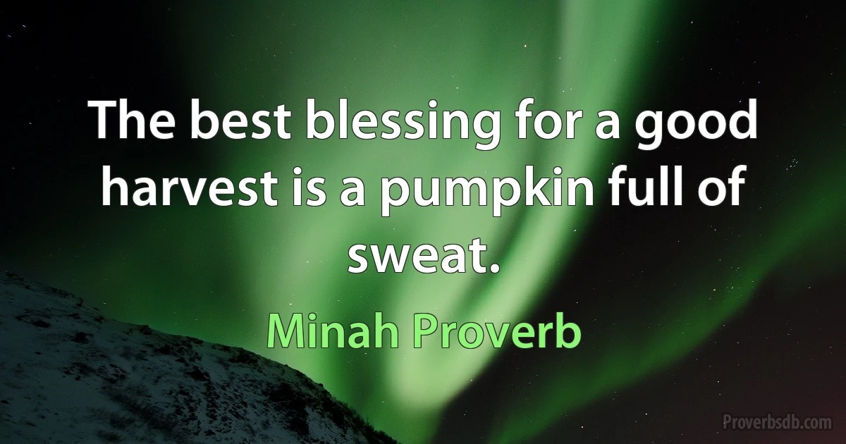 The best blessing for a good harvest is a pumpkin full of sweat. (Minah Proverb)