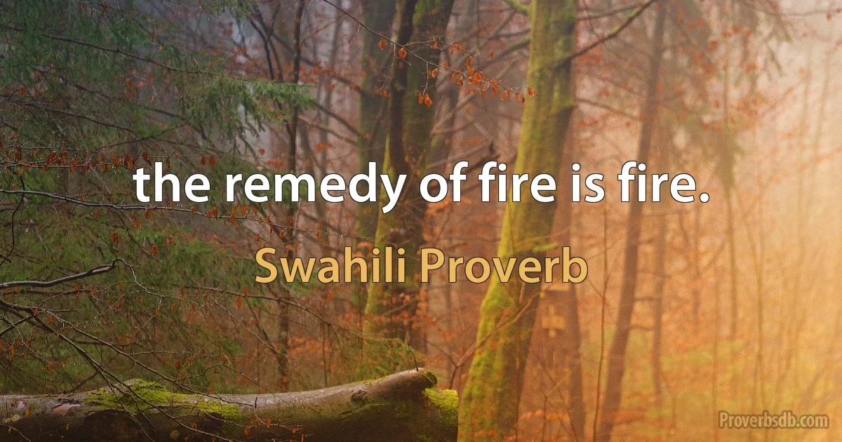 the remedy of fire is fire. (Swahili Proverb)