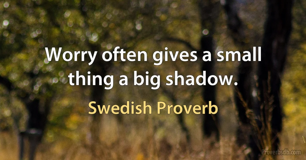 Worry often gives a small thing a big shadow. (Swedish Proverb)