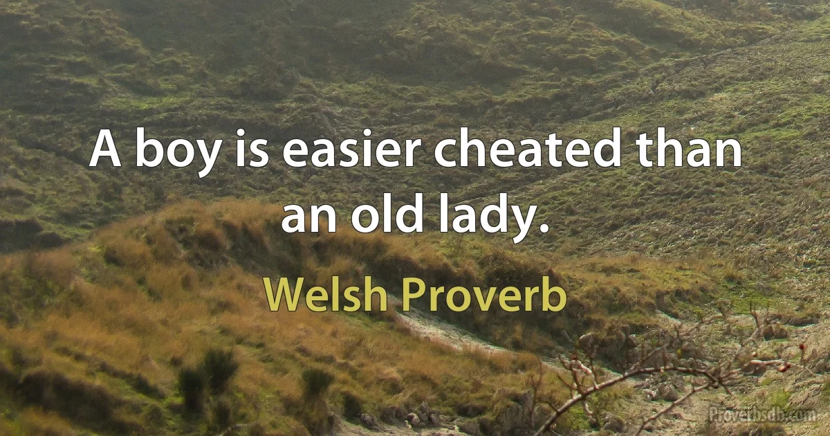 A boy is easier cheated than an old lady. (Welsh Proverb)