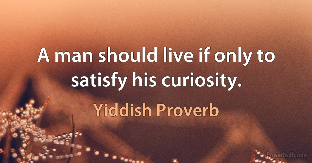 A man should live if only to satisfy his curiosity. (Yiddish Proverb)