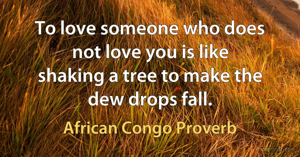 To love someone who does not love you is like shaking a tree to make the dew drops fall. (African Congo Proverb)