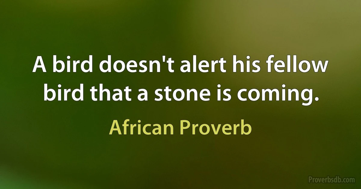 A bird doesn't alert his fellow bird that a stone is coming. (African Proverb)