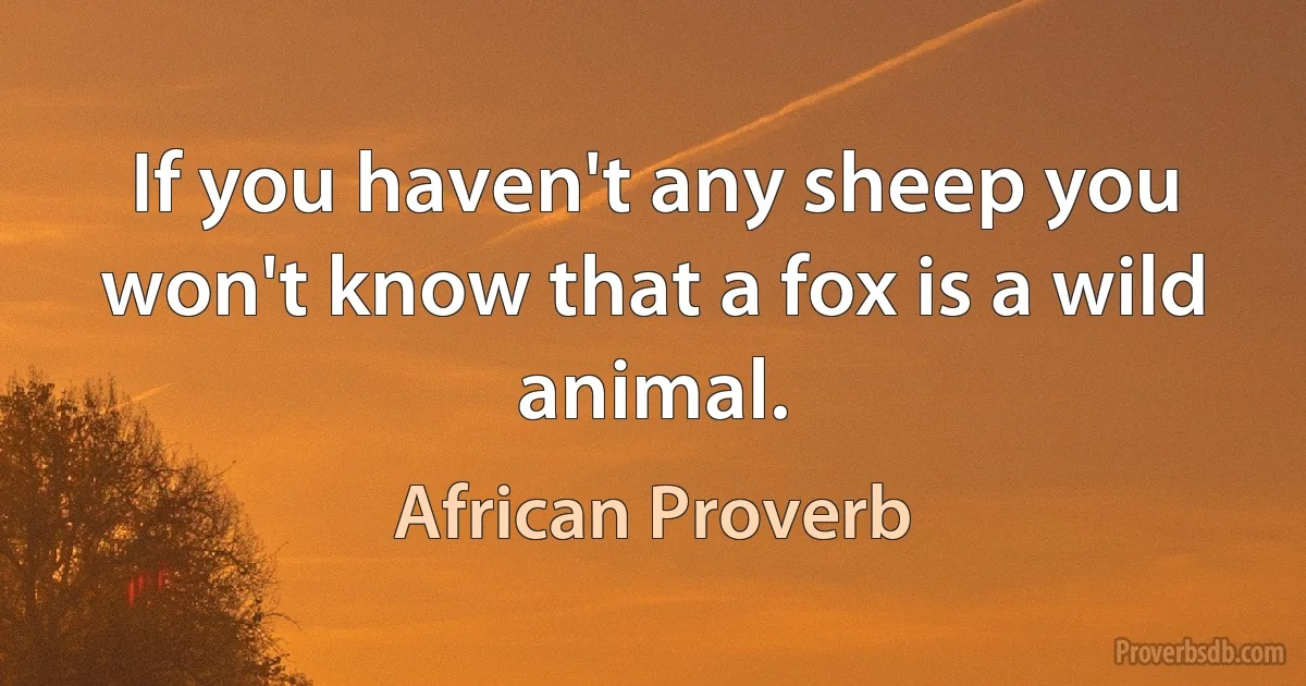 If you haven't any sheep you won't know that a fox is a wild animal. (African Proverb)