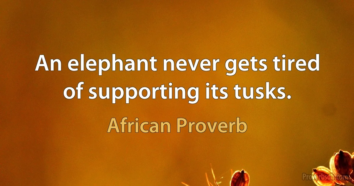 An elephant never gets tired of supporting its tusks. (African Proverb)