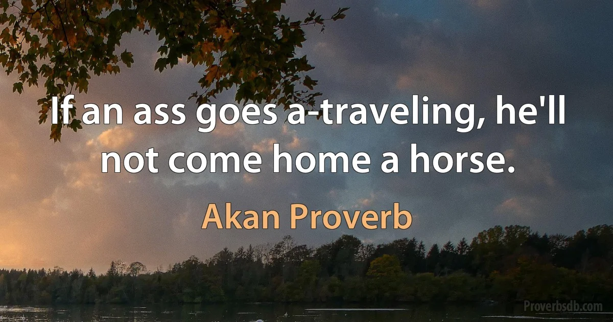 If an ass goes a-traveling, he'll not come home a horse. (Akan Proverb)