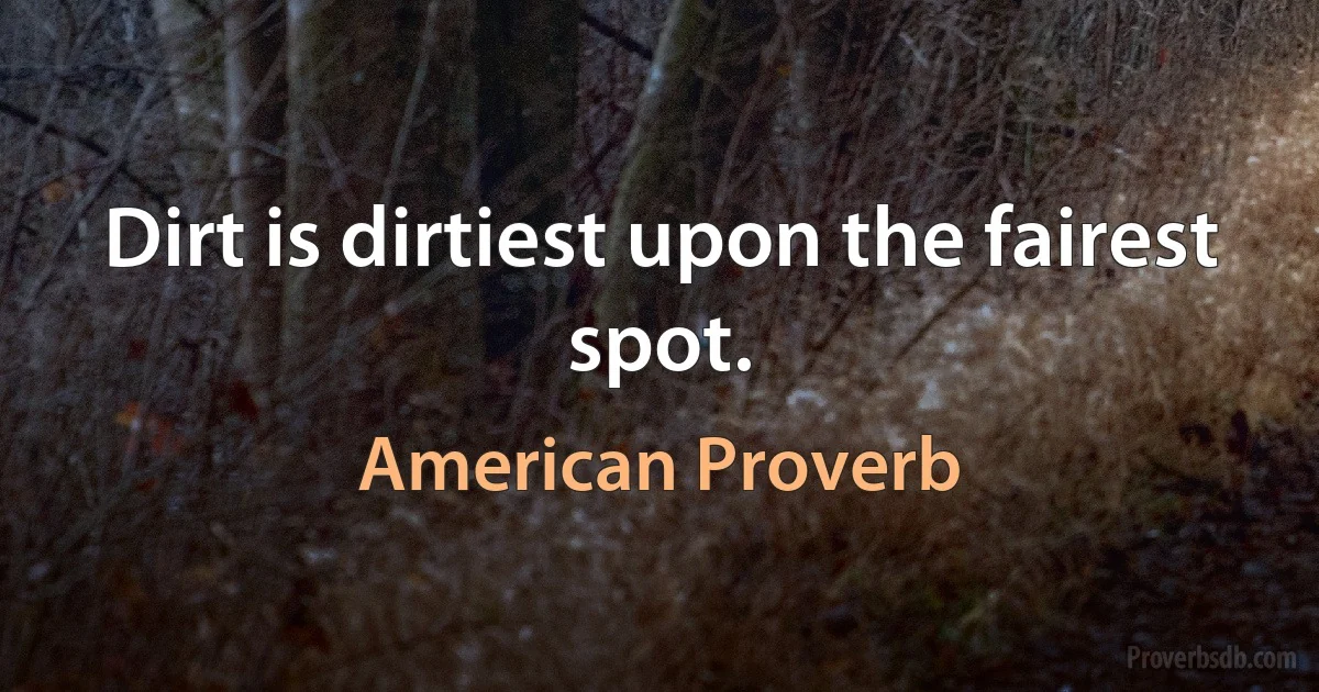 Dirt is dirtiest upon the fairest spot. (American Proverb)