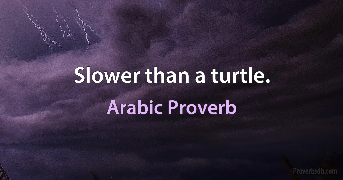 Slower than a turtle. (Arabic Proverb)