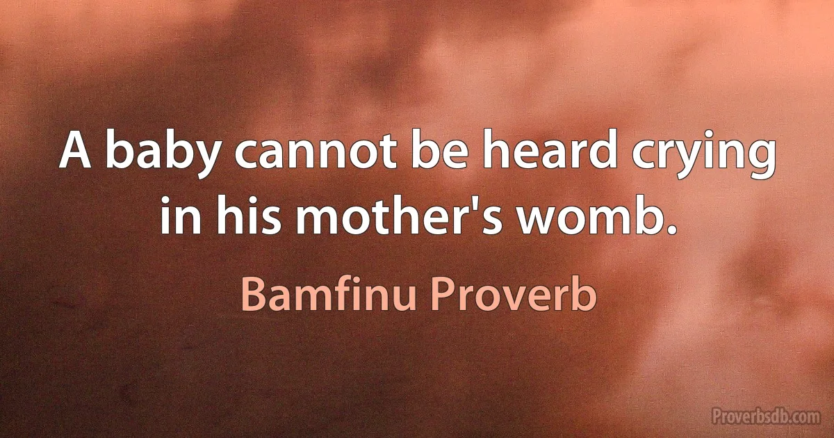 A baby cannot be heard crying in his mother's womb. (Bamfinu Proverb)