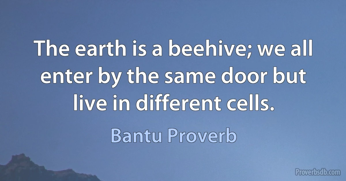 The earth is a beehive; we all enter by the same door but live in different cells. (Bantu Proverb)