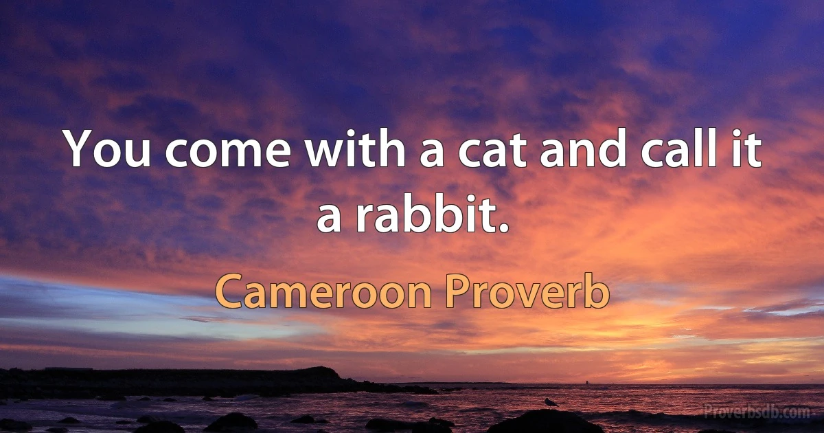 You come with a cat and call it a rabbit. (Cameroon Proverb)