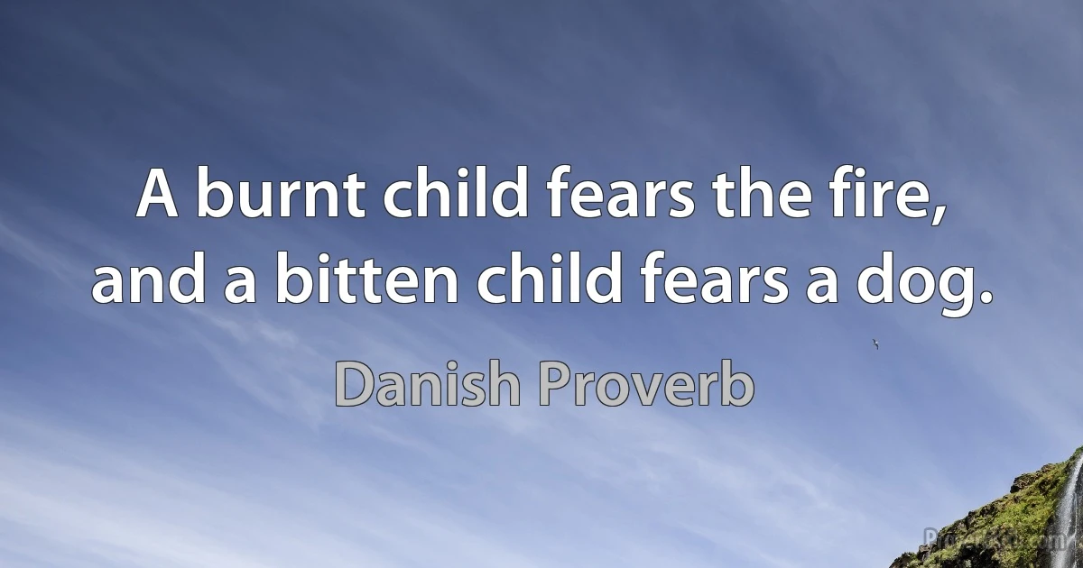 A burnt child fears the fire, and a bitten child fears a dog. (Danish Proverb)