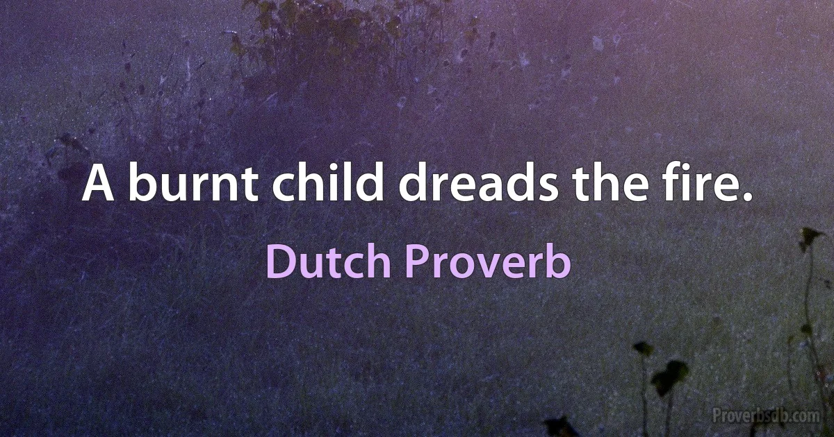 A burnt child dreads the fire. (Dutch Proverb)