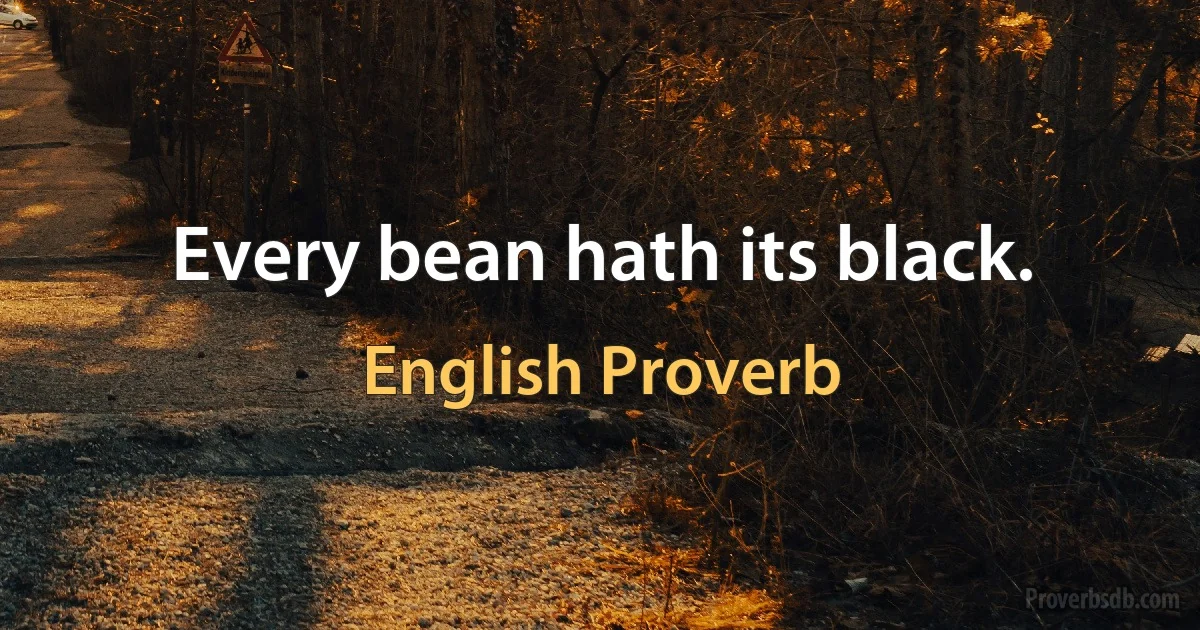 Every bean hath its black. (English Proverb)