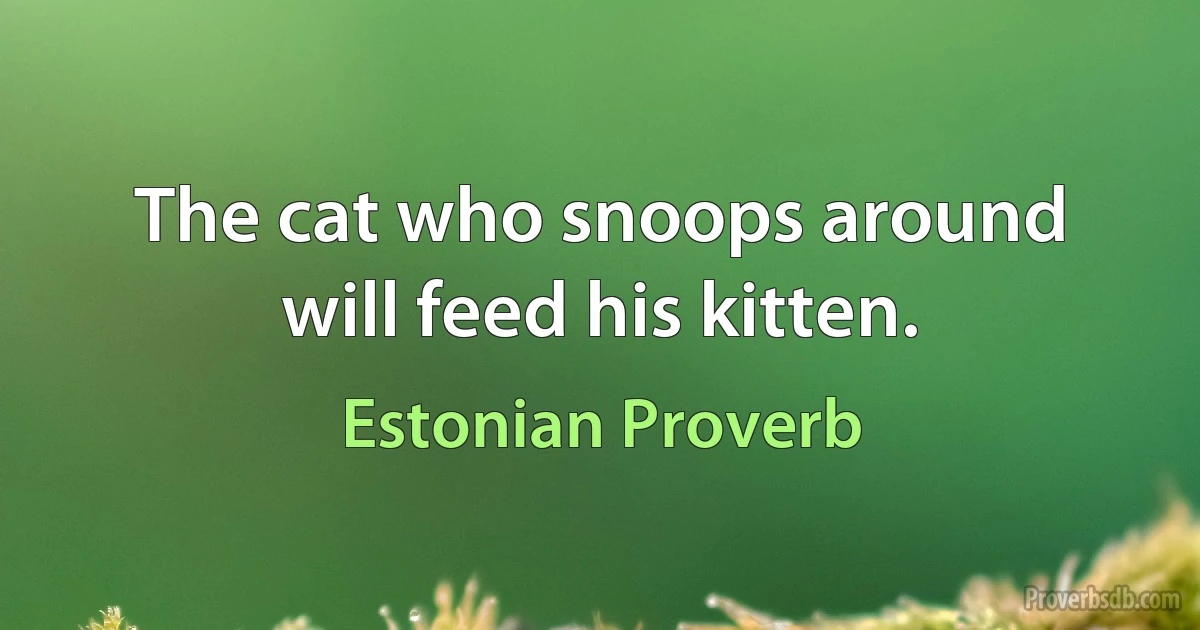 The cat who snoops around will feed his kitten. (Estonian Proverb)