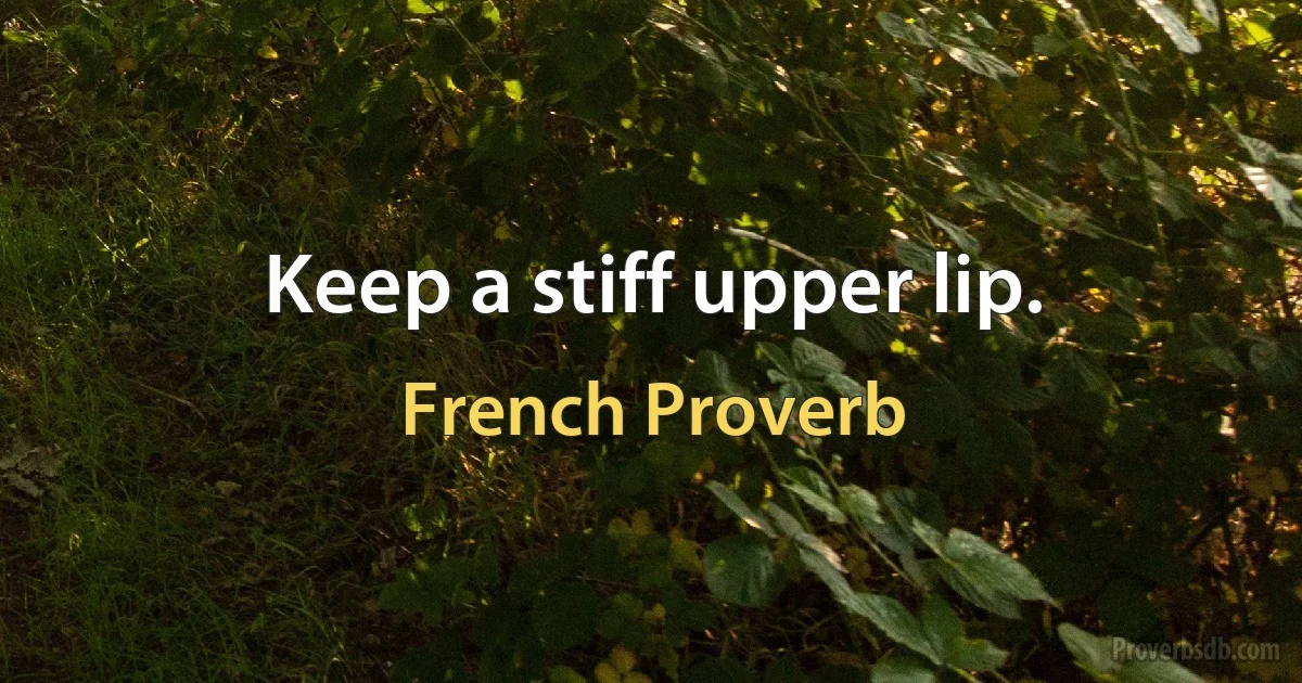 Keep a stiff upper lip. (French Proverb)