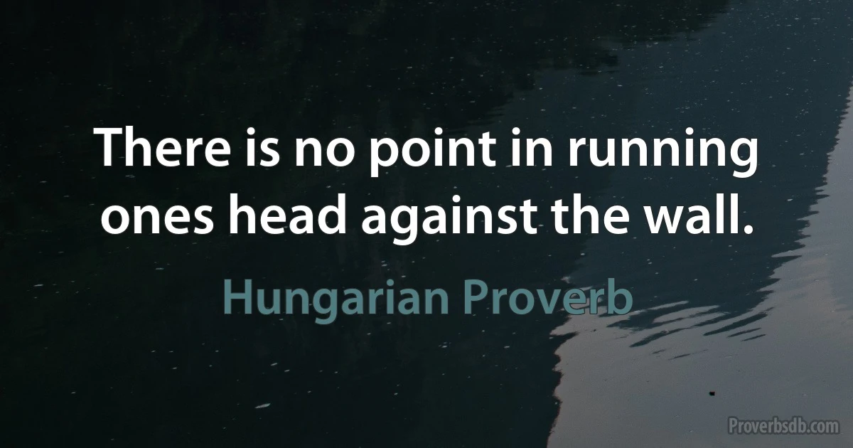 There is no point in running ones head against the wall. (Hungarian Proverb)