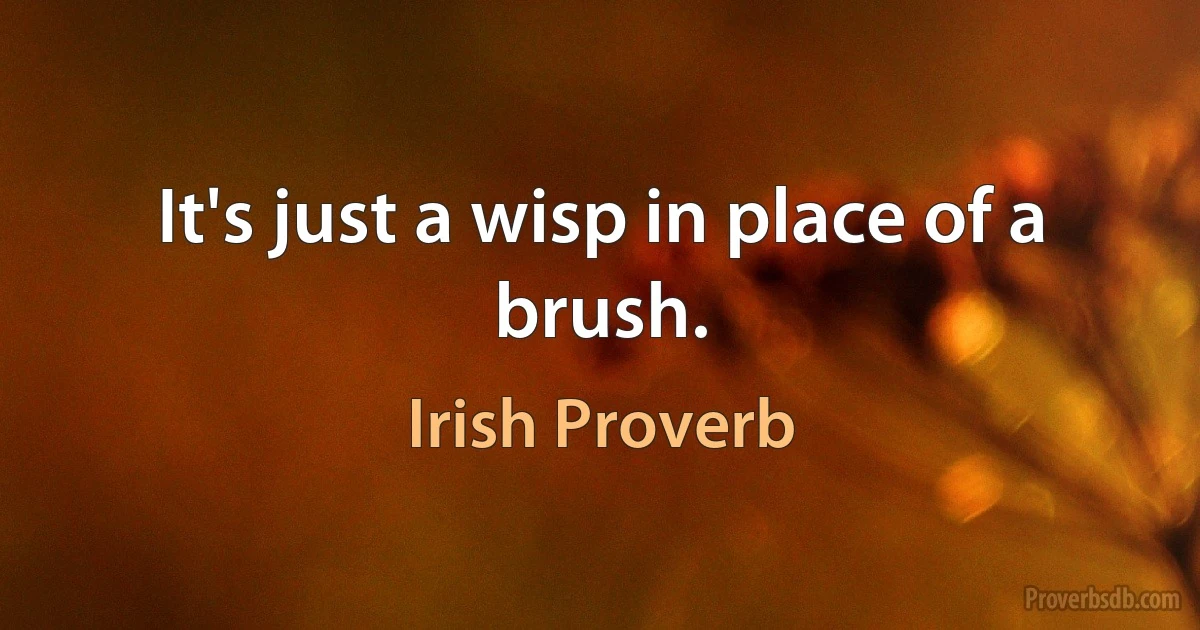 It's just a wisp in place of a brush. (Irish Proverb)