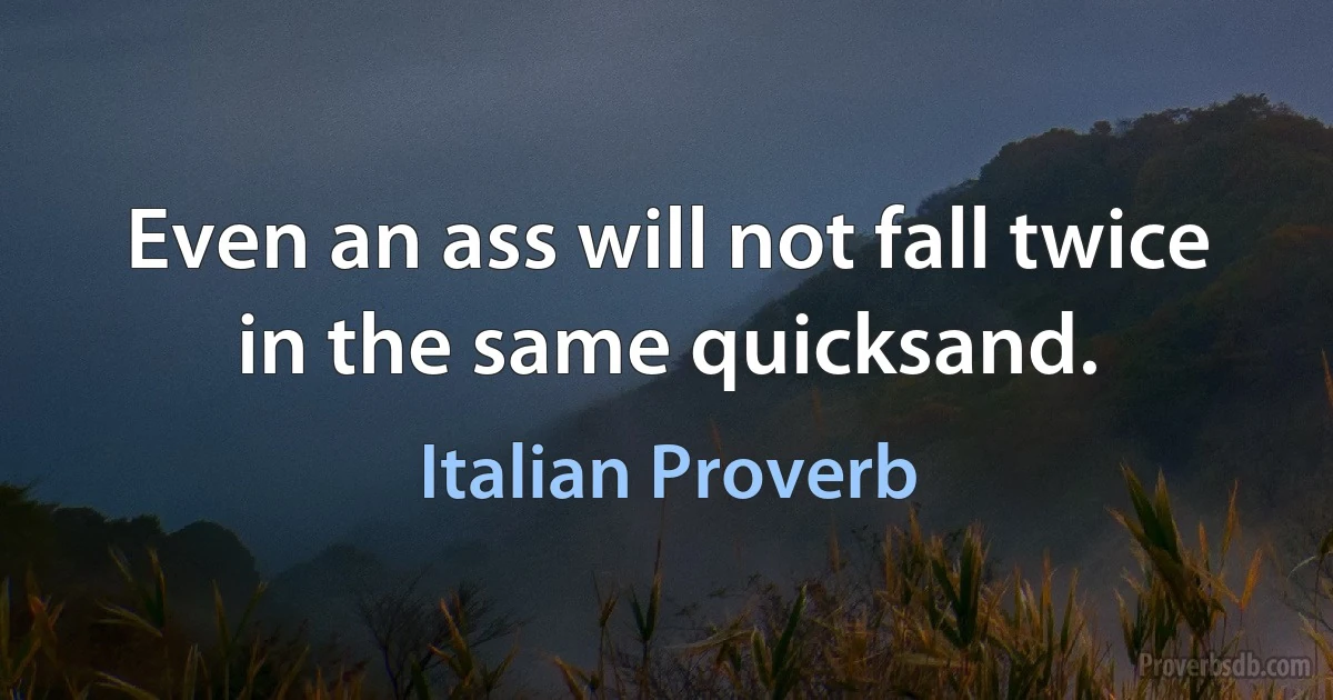 Even an ass will not fall twice in the same quicksand. (Italian Proverb)