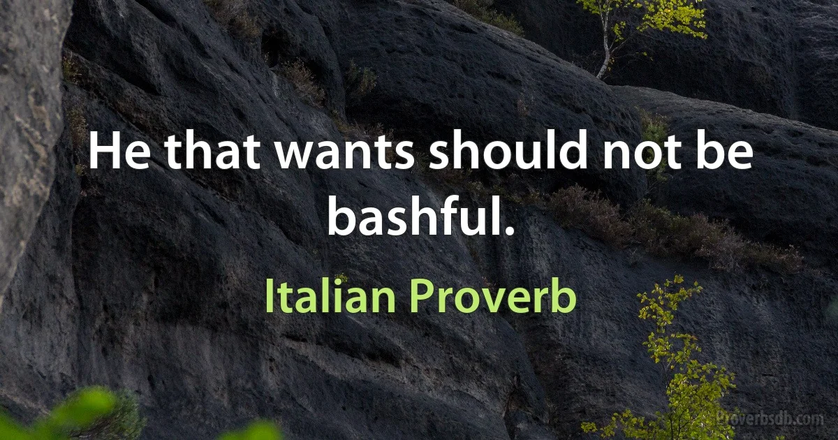 He that wants should not be bashful. (Italian Proverb)