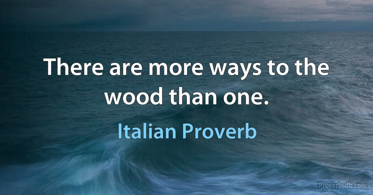 There are more ways to the wood than one. (Italian Proverb)