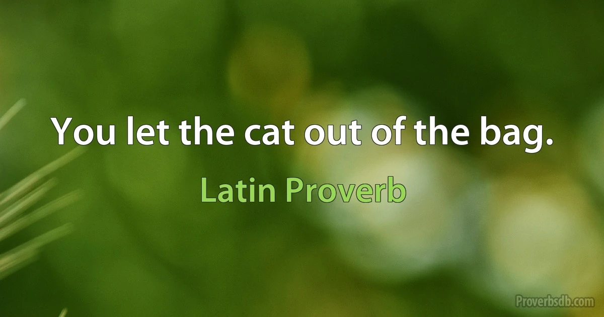 You let the cat out of the bag. (Latin Proverb)