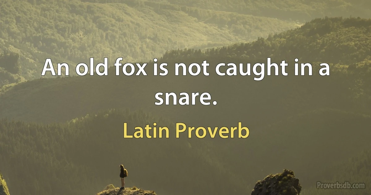 An old fox is not caught in a snare. (Latin Proverb)