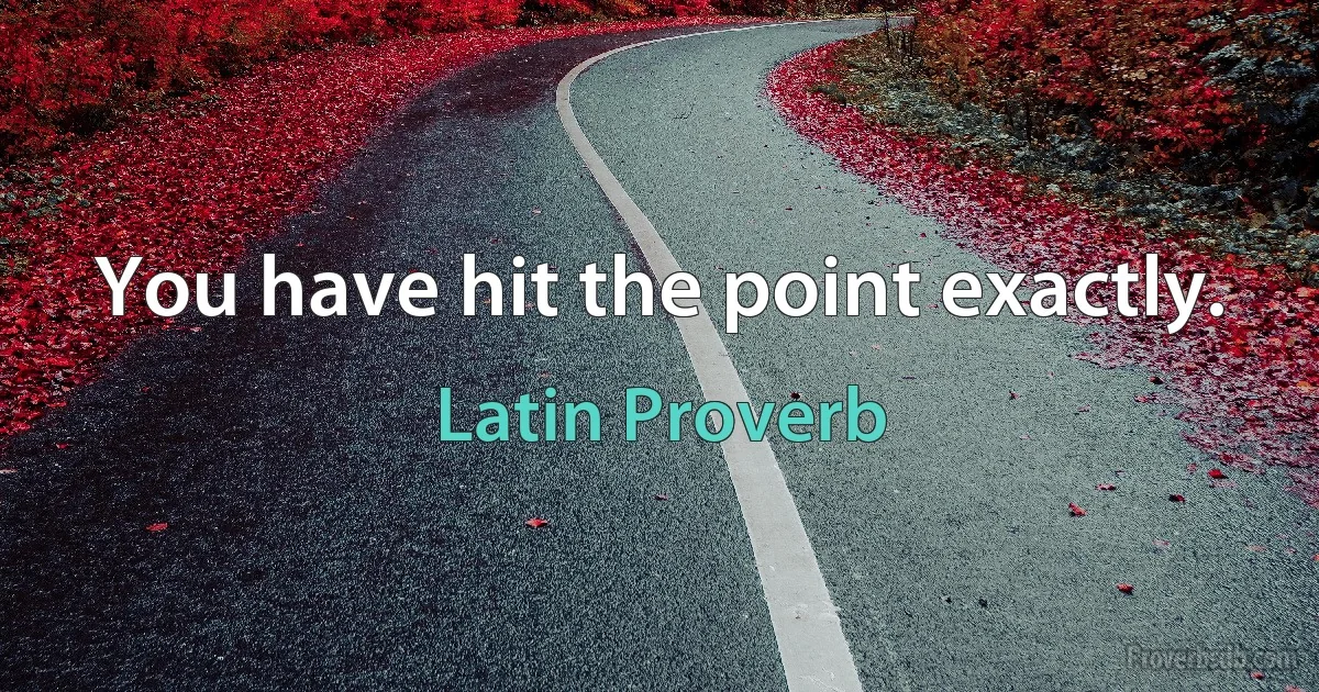 You have hit the point exactly. (Latin Proverb)