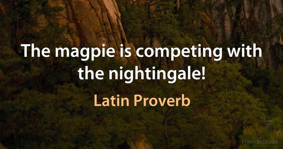 The magpie is competing with the nightingale! (Latin Proverb)