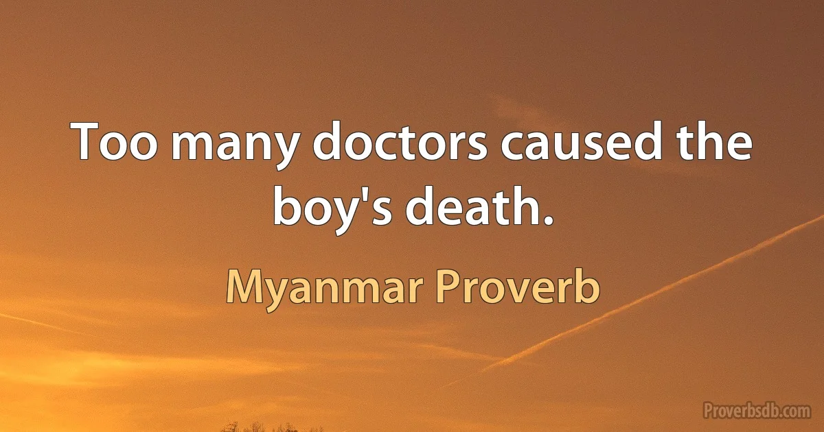 Too many doctors caused the boy's death. (Myanmar Proverb)