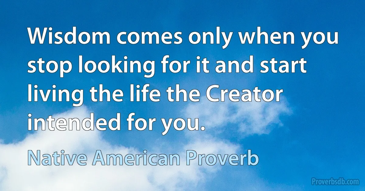 Wisdom comes only when you stop looking for it and start living the life the Creator intended for you. (Native American Proverb)