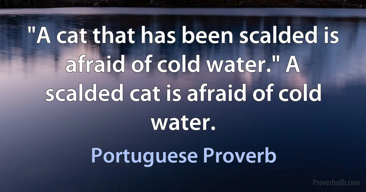 "A cat that has been scalded is afraid of cold water." A scalded cat is afraid of cold water. (Portuguese Proverb)