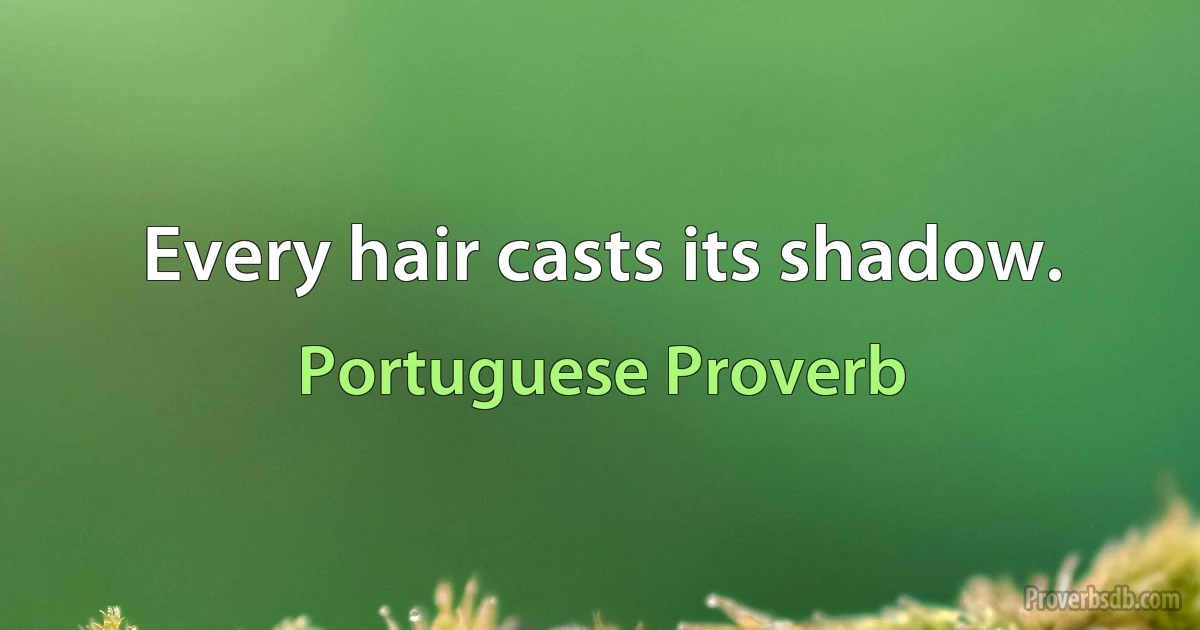 Every hair casts its shadow. (Portuguese Proverb)