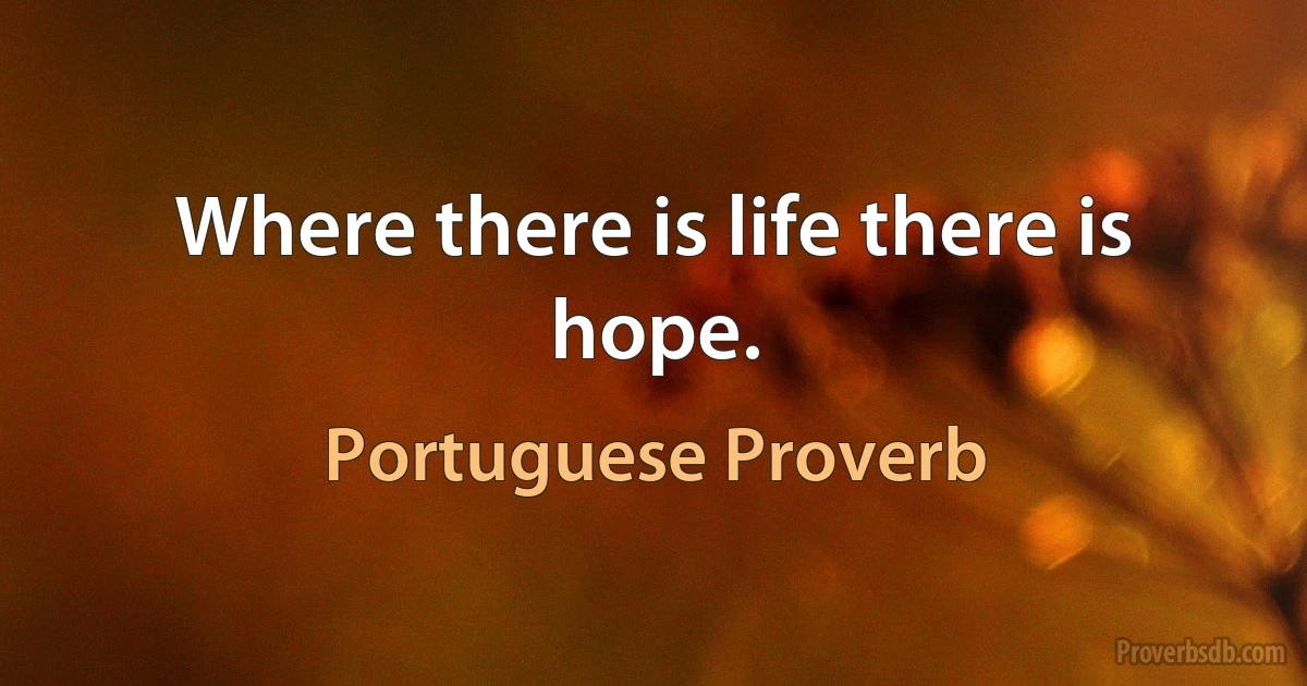 Where there is life there is hope. (Portuguese Proverb)