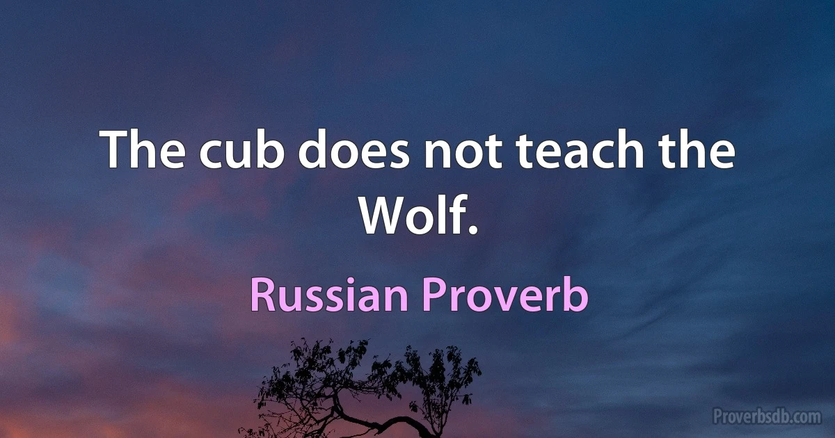 The cub does not teach the Wolf. (Russian Proverb)