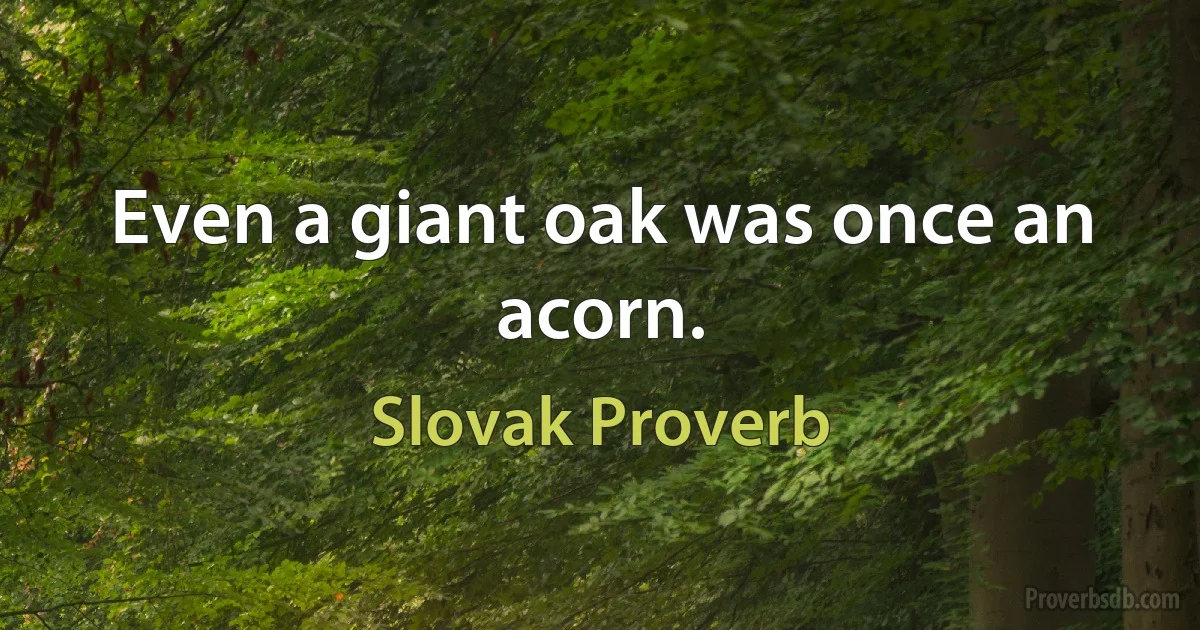 Even a giant oak was once an acorn. (Slovak Proverb)