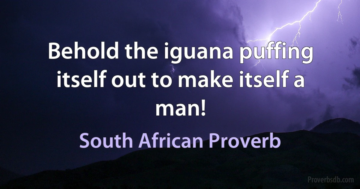 Behold the iguana puffing itself out to make itself a man! (South African Proverb)