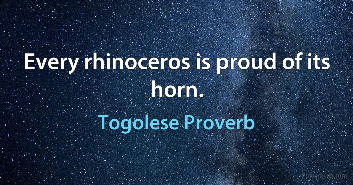 Every rhinoceros is proud of its horn. (Togolese Proverb)