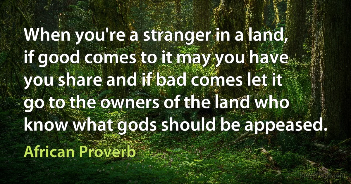 When you're a stranger in a land, if good comes to it may you have you share and if bad comes let it go to the owners of the land who know what gods should be appeased. (African Proverb)