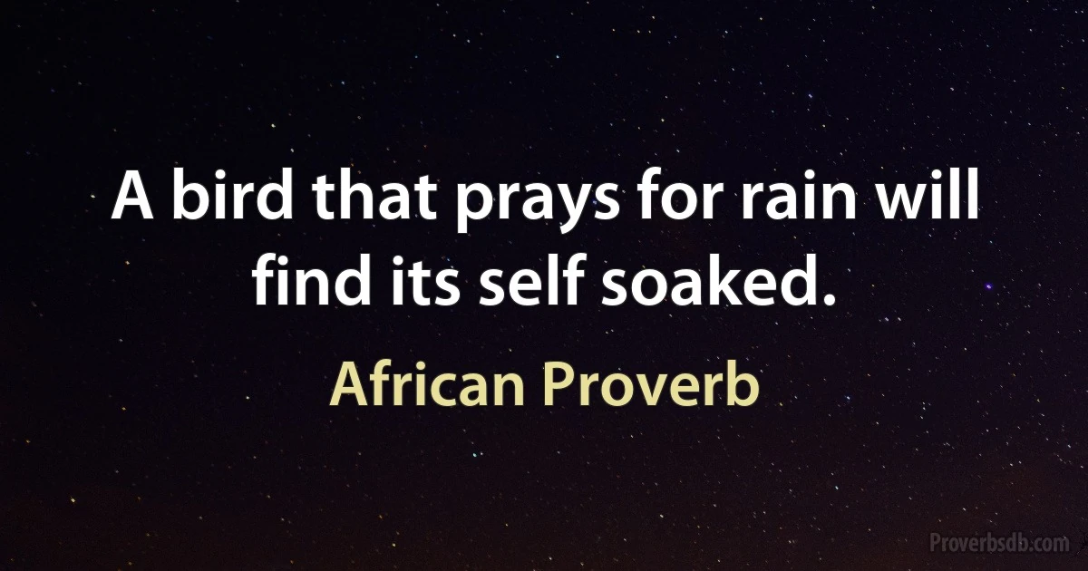 A bird that prays for rain will find its self soaked. (African Proverb)