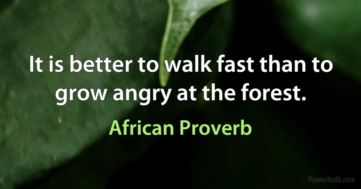 It is better to walk fast than to grow angry at the forest. (African Proverb)