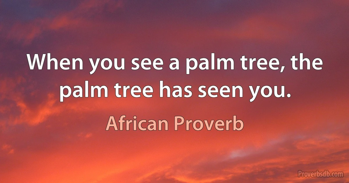 When you see a palm tree, the palm tree has seen you. (African Proverb)