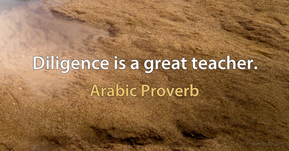 Diligence is a great teacher. (Arabic Proverb)