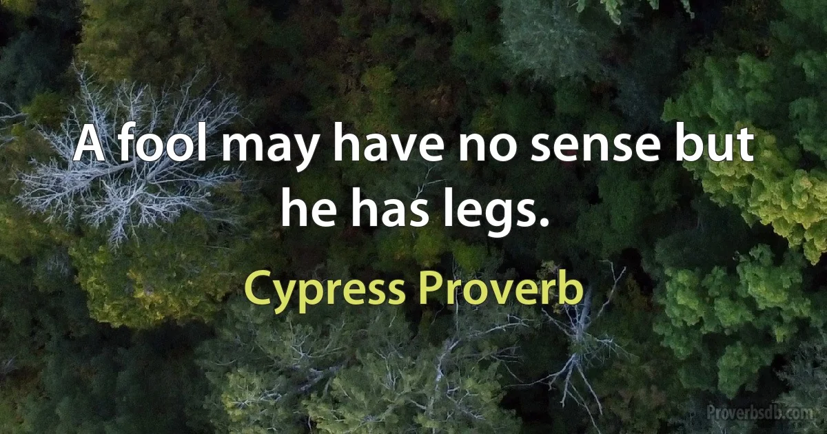 A fool may have no sense but he has legs. (Cypress Proverb)