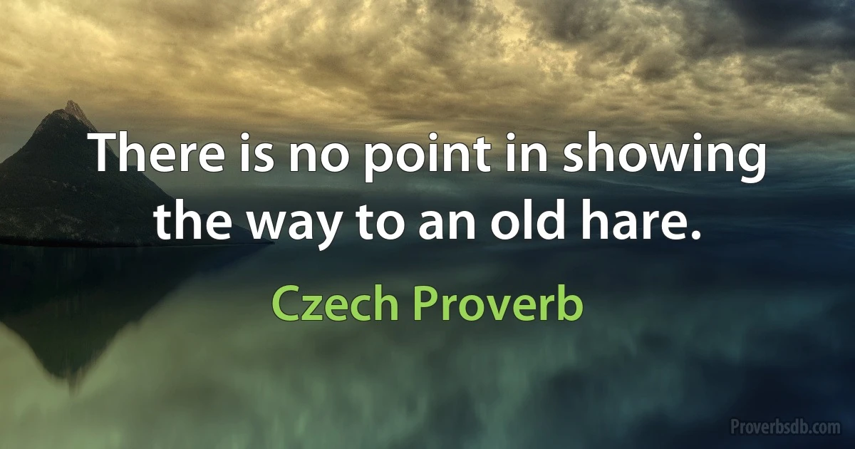 There is no point in showing the way to an old hare. (Czech Proverb)