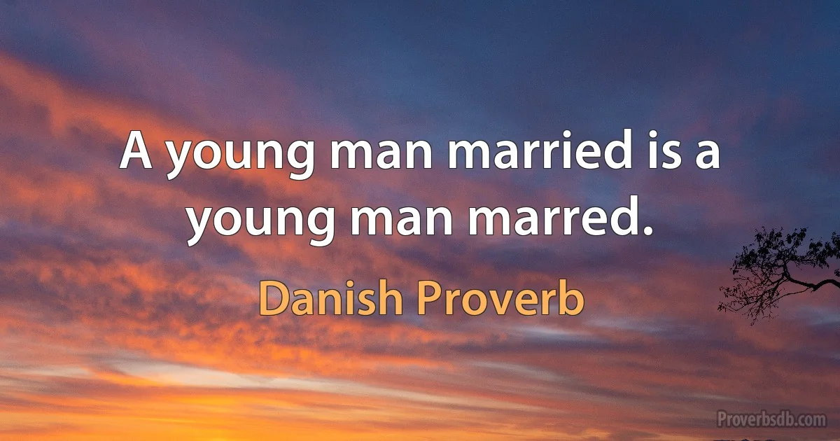 A young man married is a young man marred. (Danish Proverb)