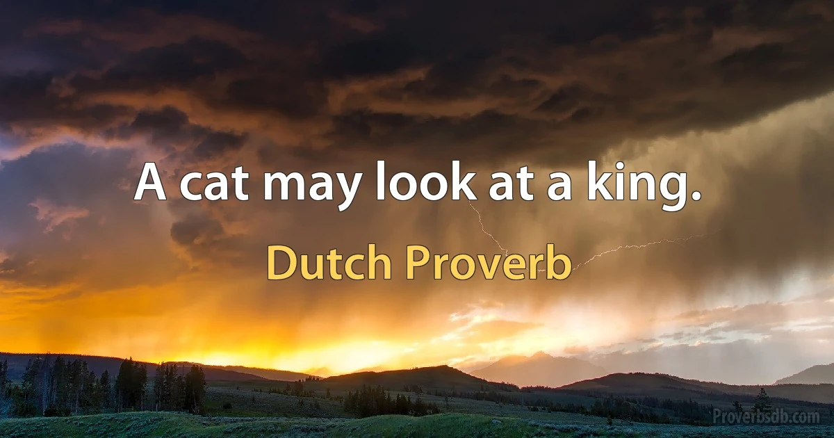 A cat may look at a king. (Dutch Proverb)