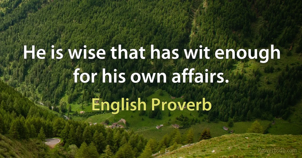 He is wise that has wit enough for his own affairs. (English Proverb)